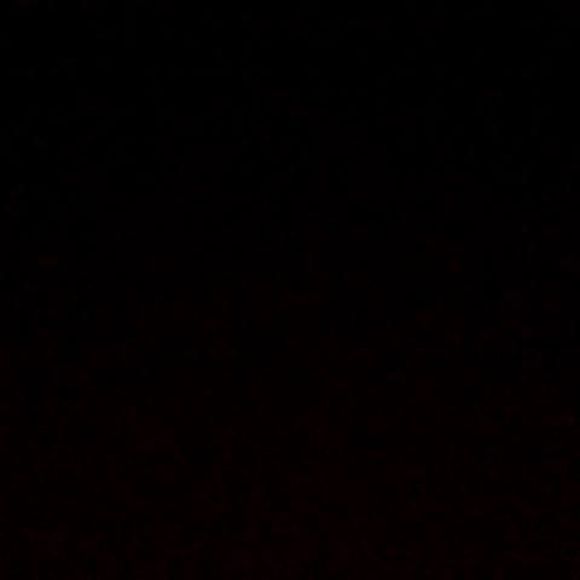 Meet your Posher, Andrew - Picture 1 of 1